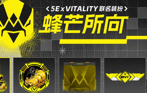 蜂芒所向！Vitality布達(dá)佩斯Major傳奇組征程全解析，Zyw